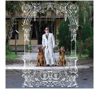 Pet Symmetry - Pets Hounds - Vinyl / 12" Album