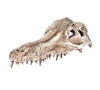 Pet Ting Alligator Skull Aquatic Ornament Skeleton Fish Tank Vivarium Decoration