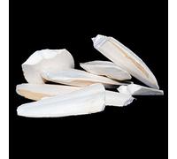Pet Ting Broken Cuttlefish Pieces, 100g