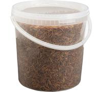 Pet Ting Dried Mealworms 10 Litre