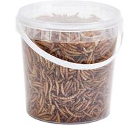 Pet Ting Premium Dried Mealworms, 1 Liter Tub