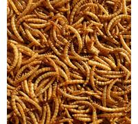 Pet Ting Premium Dried Mealworms, 7.5 Litre