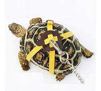 Pet Tortoise Turtle Lizard Leather Harness Strap Chest Collar Walking Lead Control Rope (L, Blue)