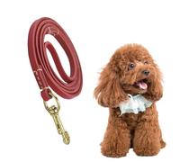 Pet Traction Rope - Ergonomic Adjustable Handle - Rope for Walking with Dogs - for Small Medium and Large Breeds for Outdoor Walking and Training in the Garden and Short