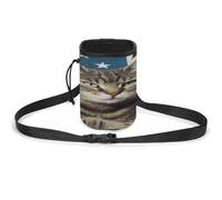 Pet Training Package, American Cat USA Flag Print Lightweight Dog Training Bag Versatile Pet Accessories Ideal for Dog Walks and Training