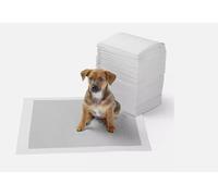 Pet Training Pads Large 60cm x60 cm,45cm x 60cm Disposable Puppy Training Pads | Highly Absorbent Leak-Proof Dog Training Pads | Premium Quality Quick-Dry Dog Count 50 & 100 Pack (medium, 50, pack)