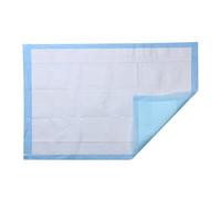 PET Training Urine Pad 45x60cm Non Woven for Puppies | Instant Liquid Absorption, Quick Drying Surface, Indoor Potty Solution, Crate Training, Car Use