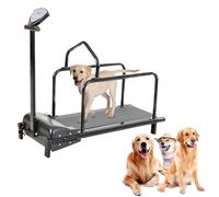 Pet Treadmill for Medium Dogs, Running Training Machine with Display Screen for Indoor Exercise