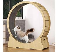 Pet Treadmill, Indoor Cat Interactive Toy, Silent Roller, Stable Without Shaking, Easy To Assemble