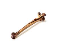 Pet Treats Wholesale Long Ostrich Bones (1Pc) Grain Free Long Lasting Low Fat Chew Treats