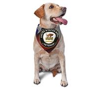 Pet Triangle Scarf 10Th Cavalry Regiment Vietnam Service Combat Veteran Pet Neckerchief Soft Cat Dog Handkerchief Breathable Dog Bandana For Small Medium Large Rabbits Birthday 30X70Cm