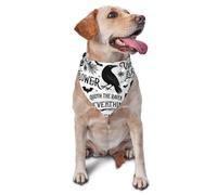 Pet Triangle Scarf Halloween Witch Pumpkin Spider Web Bat Crow Magic Board Spiritual Skull Breathable Triangle Bib Scarf Washable Dog Bandana For Festival Party Cats Small Medium Large