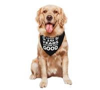 Pet Triangle Scarf It Took Me 16 Years To Look This Good Decoratio Dog Bandana Soft Cat Dogs Kerchief For Rabbits Dogs And Cats Small Medium Large 30X70Cm