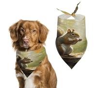 Pet Triangle Scarf Squirrel Eats Nuts Cat Dog Handkerchief Decoratio Pet Neckerchief Costumes Headwear Cat Dogs Kerchief For Small Medium Large Dogs And Cats Rabbits 30X70Cm