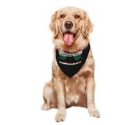 Pet Triangle Scarf Vintage Butterfly Hungary Hungarians Flag Decoratio Pet Neckerchief Washable Cat Dogs Kerchief For Birthday Dogs And Cats Small Medium Large 30X70Cm