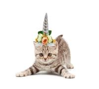 Pet Unicorn Hat for Cats and Dogs, Soft Cloth Silver Horn M