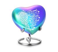 Pet Urn Memorial Container Jar Pot Urn Memorials Keepsake Pet Dog Cat Urn Mini Urn Memorial Urn for Cremation Ashes (Wings Rainbow)