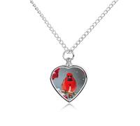 Pet Urn Necklace for Ashes Cardinal Birds, Snow, Cranberries. Heart-Shaped Memorial Pendant with Filling Kit 27.6" Adjustable Chain Cremation Keepsake Jewelry for Dog Cat Sympathy Gift for Pets Lovers