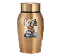 Pet Urn | Stainless Steel Pet Ash Urn for Commemorative Storage Tank for Large or Small Dogs | Light Weight Memorial Urns for Dogs, Cats Gr