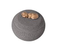 Pet Urns for Dogs - Stable Pet Cremate Urn, Smooth Keepsakes Container Coffin for Commemorative Puppy Remembrance Sympathy Funeral Death Memory