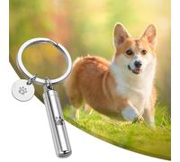 Pet Urns Keychain, Cylinder Cremation Keychain Dog Urn Ashes with Dog Paw Pendant, Small Pet Ashes Keepsake, Waterproof Memorial Animal Cat Dog Bird Urn Keychain Silver