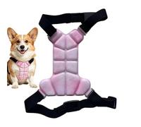 Pet Vest for Dog,Lightweight 2-Sided Sun Protection,Cooling Gel Dog Vest | for Small Medium Breeds Puppy Kitten Training Walking Adventure Hiking