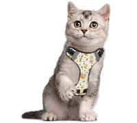 Pet Vest Harness No Pull M Cute Squirrel Autumn