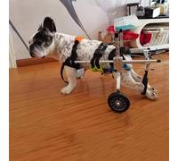 Pet Wheelchair, 2 Wheel Dog Wheelchair, Removable Pet Hind Legs Support Stroller, Suitable for Home, Pet Store (XL)