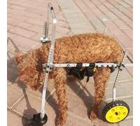Pet Wheelchair for Disabled Dogs - Lightweight Mobility Aid with 4 & 2 Wheels for Small & Large Dogs Ideal for Senior Pets (Size XL) - Enhance Your Dog's Mobility!