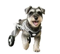 Pet Wheelchair for Dogs - Adjustable Dog Wheelchair for Back Legs, EVA Silent Wheels & Thigh Support, Mobility Aid for Disabled Pets (5-25 Catties)(M)