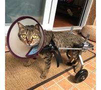 Pet Wheelchair for Dogs & Cats - 2-Wheel Mobility Cart for Disabled Pets with Arthritis - Adjustable Dog Stroller for Easy Movement & Comfort