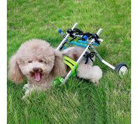 Pet Wheelchair for Small Injured Dogs - Hip Support for Teddy Corgi & MoreExercise Wheels for Rehabilitation of Tiny Dogs & Cats