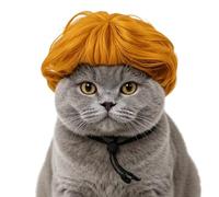 Pet Wig Funny Adjustable Comfortable Elastic Bands