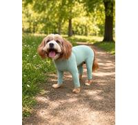 Pet Wiz Lightweight Four-Leg Dog Suit, Stretch-Fit Walking Coverall, Helps Reduce Grass Seeds, Mud, Pollen & Debris in the Coat, Harness Compatible (Sage, M)