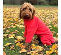 pet wiz Warm Four-Legged Dog Fleece - Super Soft, Weather-Resistant, Available in a Range of Sizes and Colours (Coral, Small)
