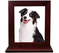Pet Wood Memorial Urn for Ashes,Photo Frame Keepsake Box for Cats Dogs,Funerary Caskets Supplies Burly Wood Cremation Urns Pet Lovers,Wine Red