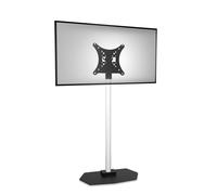 PeTa Rental I - Stand for displays up to 55" | load capacity: 35 kg | max. Vesa 400x400mm
