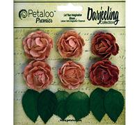 Petaloo Darjeeling Mini Garden Rosettes 1-inch Spice, Acrylic, Multicoloured, 4.7 x 4.6 x 0.48 cm
