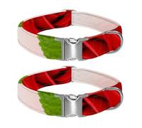 Petals Broken into Poems Adjustable Pet Collar for Small Medium Large Dogs & Cats, Reflective Strip for Night Safety, Soft Comfort Pad