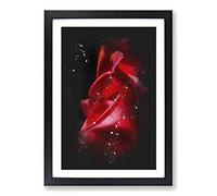 Petals of a Red Rose Paint Splash Framed Print | A2 Black Framed Wall Art | Ready to Hang | Modern Floral Picture | Living Room Bedroom Lounge Office