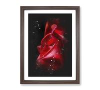 Petals Of A Red Rose Paint Splash Modern Framed Print | A4 Walnut Framed Wall Art | Ready to Hang | Modern Floral Picture | Living Room Bedroom Lounge Office
