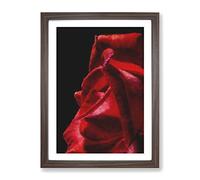Petals Of A Red Rose Painting Modern Framed Print | A3 Walnut Framed Wall Art | Ready to Hang | Modern Floral Picture | Living Room Bedroom Lounge Office