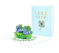 Petals Of Positivity Good Luck 3D Pop-Up Greeting Card