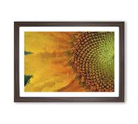 Petals of The Yellow Sunflower Framed Print | A2 Walnut Framed Wall Art | Ready to Hang | Modern Floral Picture | Living Room Bedroom Lounge Office