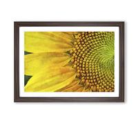 Petals of The Yellow Sunflower Painting Framed Print | A2 Walnut Framed Wall Art | Ready to Hang | Modern Floral Picture | Living Room Bedroom Lounge Office