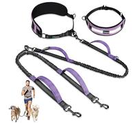 PetAmi Double Dog Leash with 360 Swivel No-Tangle Coupler, Heavy Duty Dual Dog Leash with Shock-Absorbing Bungee, Padded Handles, Reflective for Medium & Large Dogs, Purple