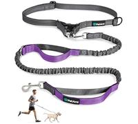 PetAmi Heavy Duty Hands-Free Waist Leash for Dog Walking, Jogging, Hiking, Bungee Belt Leash with Padded Dual Handle for Small, Medium, Large Dogs up to 150 lbs, Adjustable, Reflective, Purple