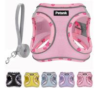 Petank Dog Harness for Small Medium Dogs Cats No Pull, XS Puppy Harness and Leash Set, Mesh Adjustable Breathable Light Vest for Walking, Running, Training. (Pink Flower, XS)