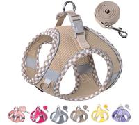 Petank Dog Harness for Small Medium Dogs No Pull, Puppy Harness and Leash Set for Walking, Running, Training, Small Dog Harness, Medium Dog Harness (Brown, XS)