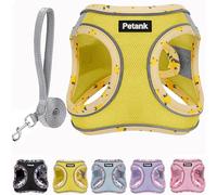 Petank Dog Harness for Small Medium Dogs No Pull, Puppy Harness and Leash Set, Mesh Adjustable Breathable Light Vest for Walking, Running, Training. (Yellow, L)